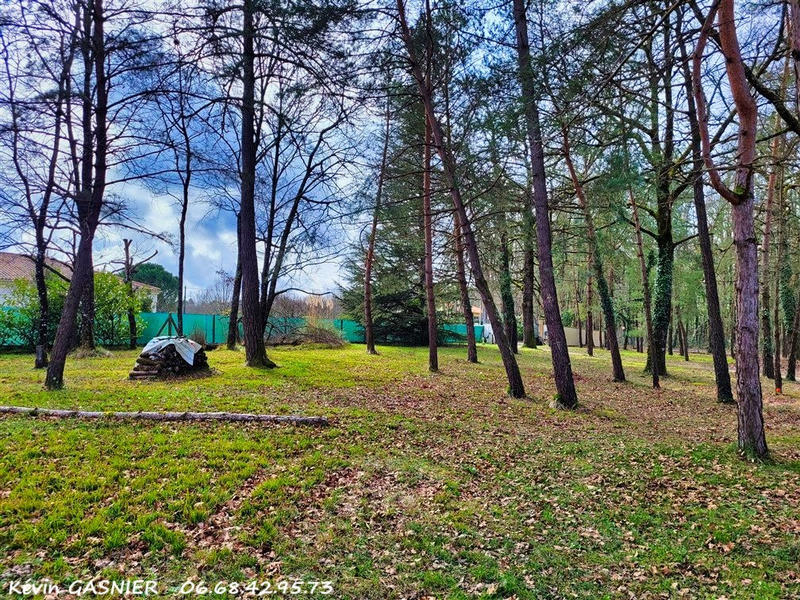 Terrain constructible - 1 043 m²