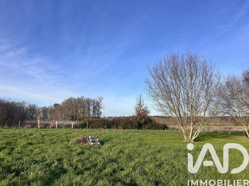 Maison de campagne - 147 m² - 6 pièces