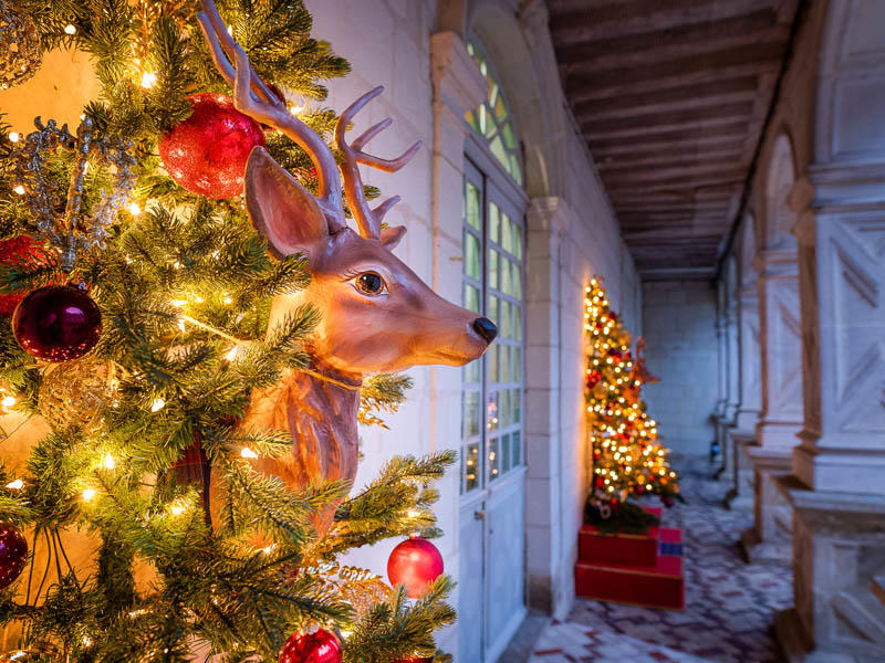 A Noël la nature s'invite au château !