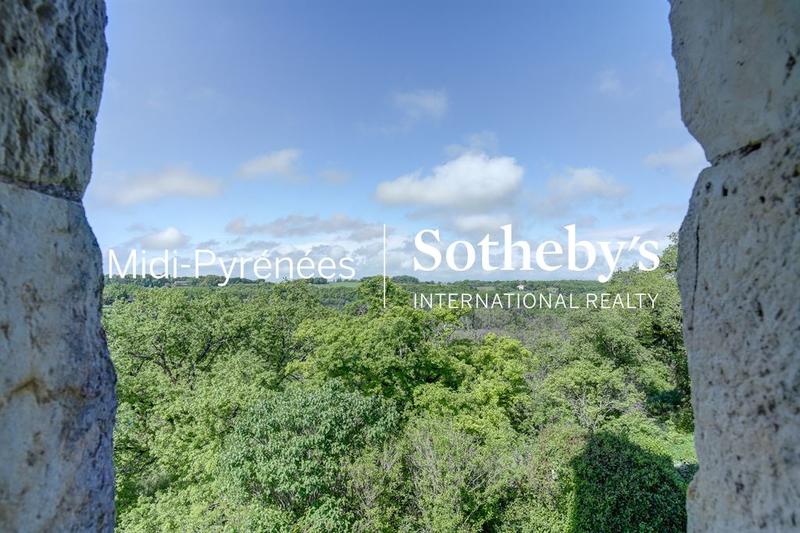 Château - 470 m² - 12 pièces