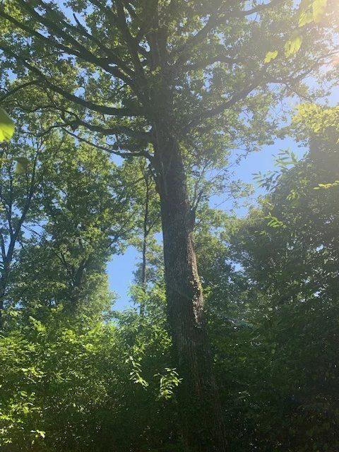 Maison - 175 m² - 6 pièces