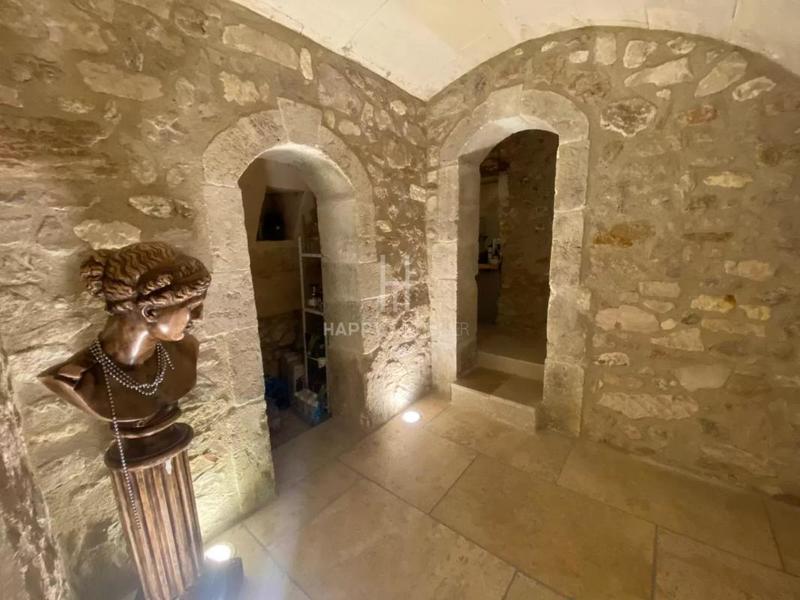 Mas - 300 m² - 8 pièces