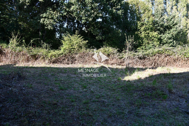 Maison en pierre - 110 m² - 5 pièces