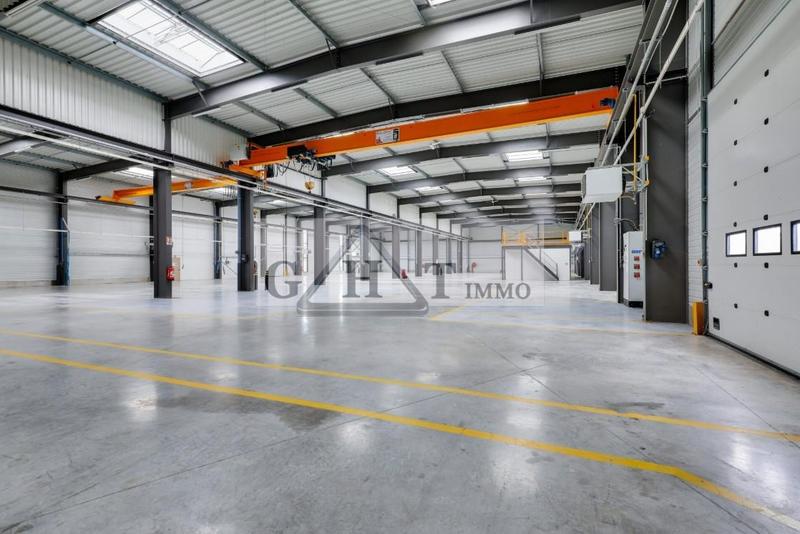 Entrepôt - 3 300 m²