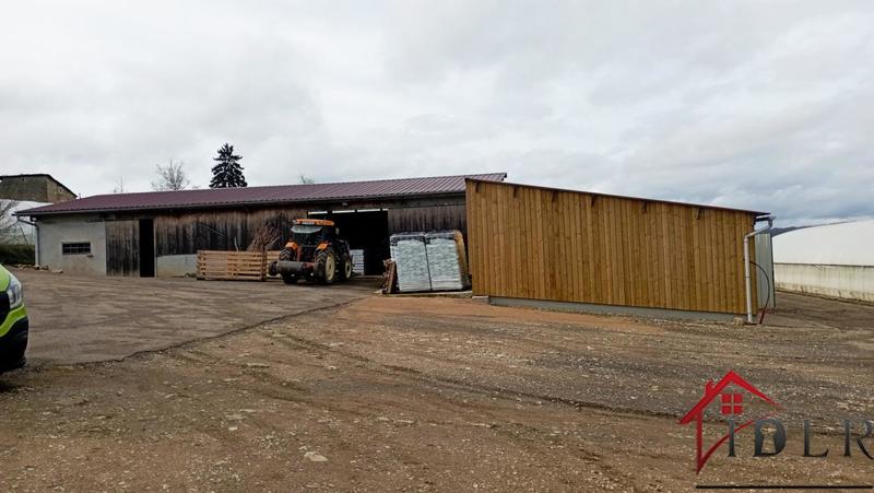 Local d'activité / Entrepôt - 80 000 m²