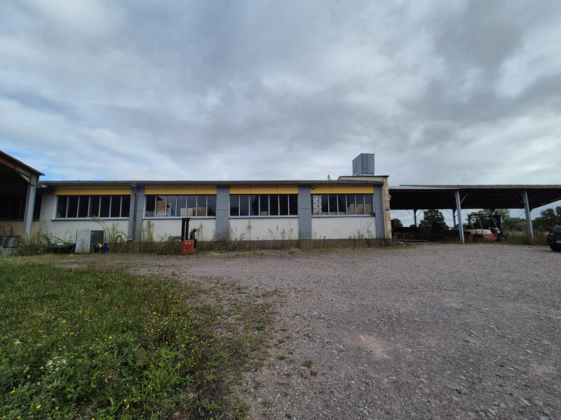 Local d'activités - 900 m²