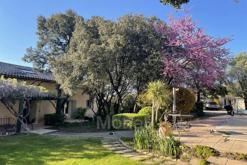 Propriété - 350 m² - 9 pièces