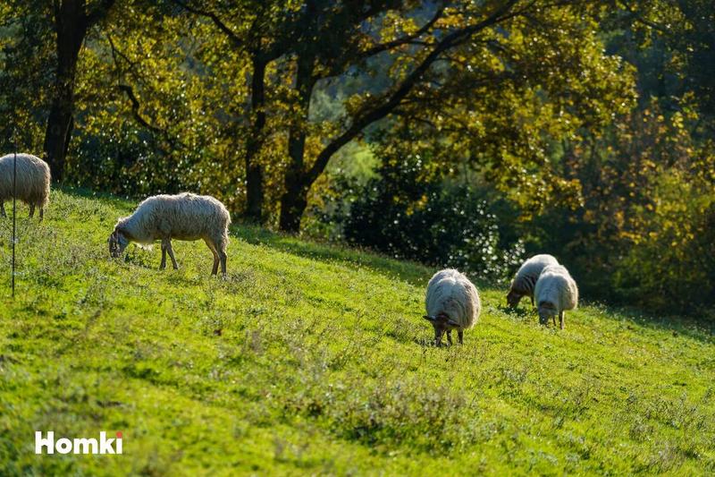 Maison de campagne - 204 m² - 4 pièces