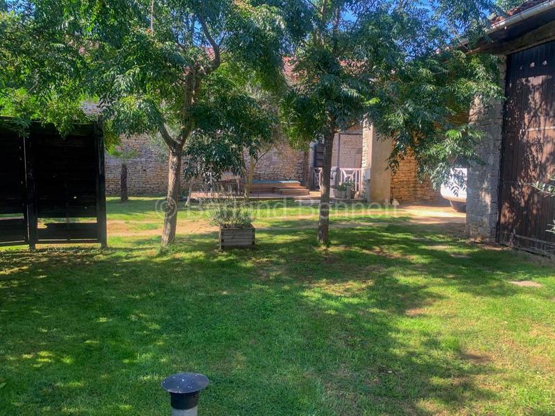 Maison en pierre - 130 m² - 7 pièces