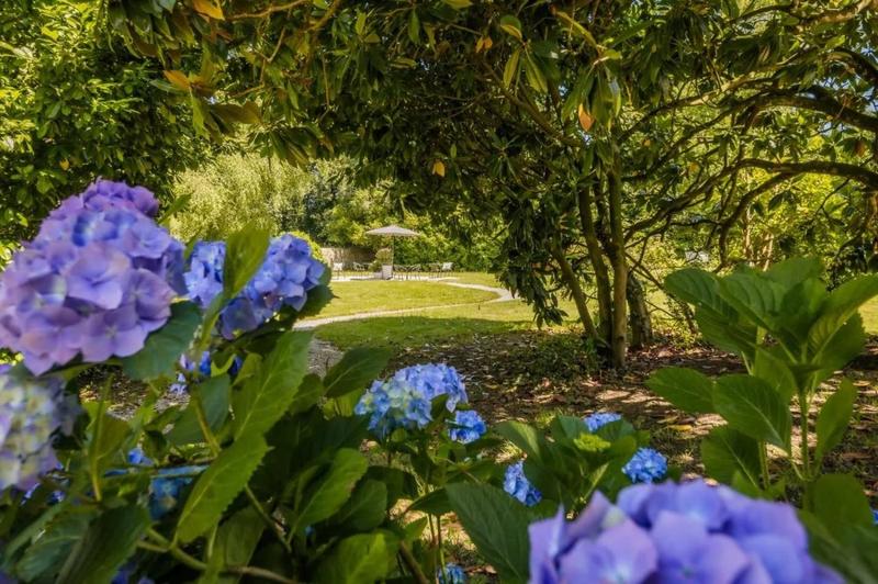 Maison chambre d'hôtes - 217 m² - 8 pièces