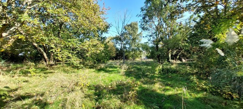 Maison - 97 m² - 5 pièces