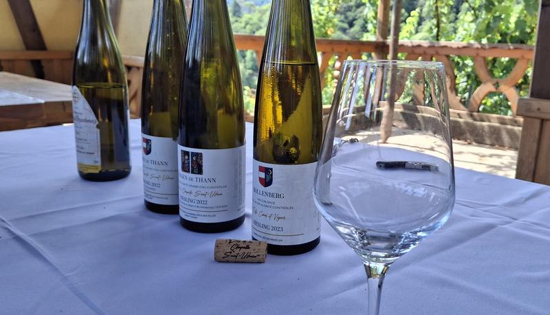 Balade gourmande dans le vignoble du Rangen