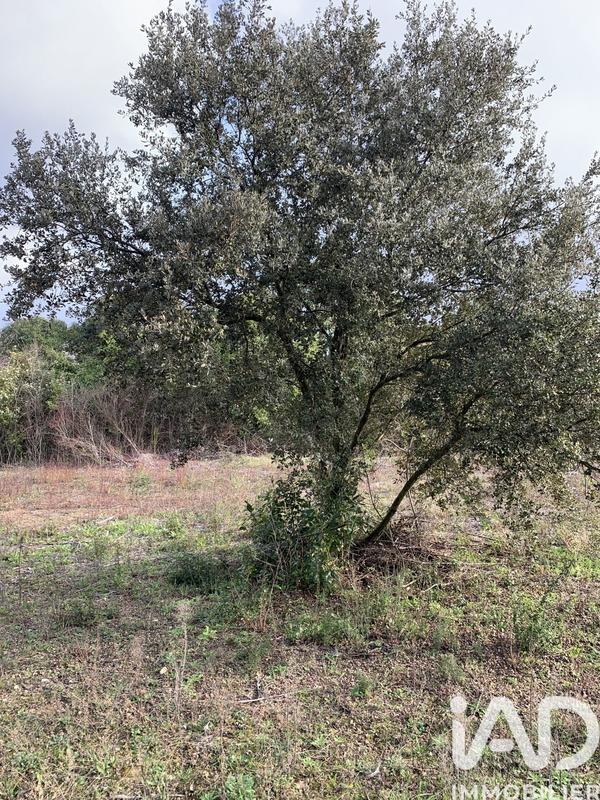 Terrain agricole - 2 565 m²