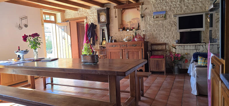 Viager - Maison ancienne - 248 m² - 11 pièces