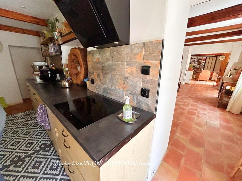 Mas - 273 m² - 10 pièces