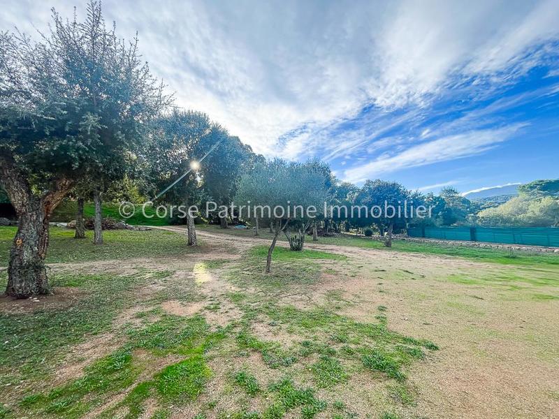 Terrain de loisirs - 1 020 m²