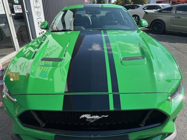 Ford Mustang Gt V8 Boite Auto 10 &quot;Malus Inclus&quot;