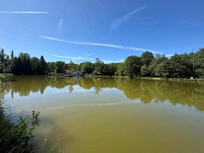 Maison - 300 m² - 7 pièces