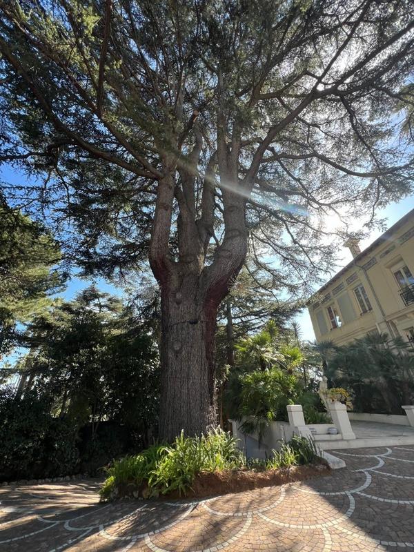 Villa - 500 m² - 10 pièces