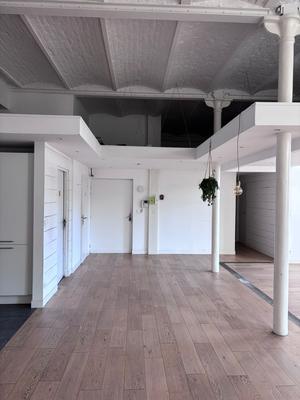 Loft - 161 m² - 5 pièces