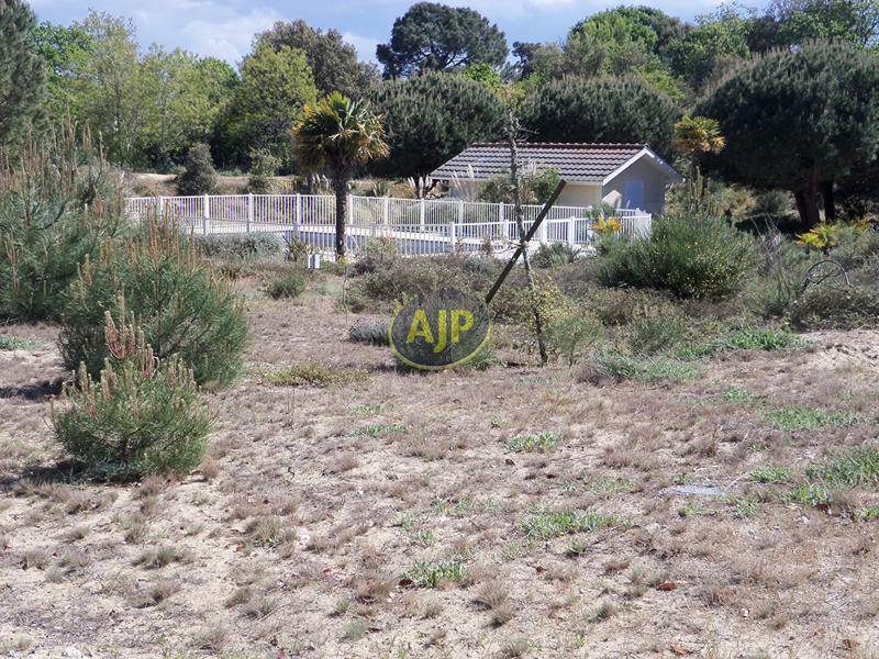 Appartement - 77 m² - 4 pièces