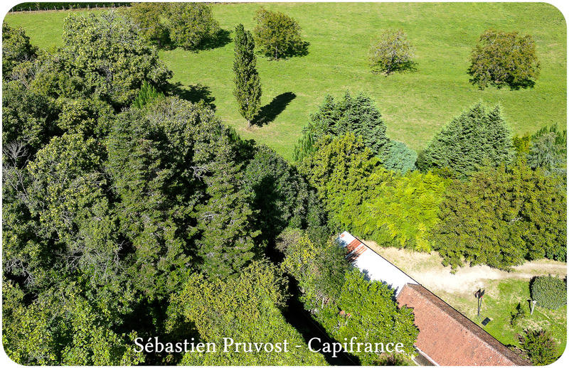 Maison de maîtres - 325 m² - 11 pièces