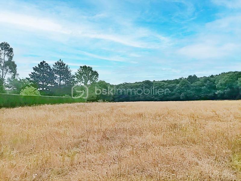 Terrain - 6 614 m²