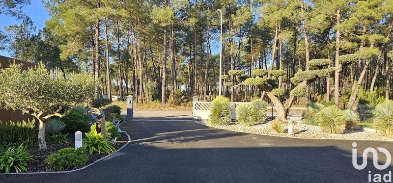 Local commercial - 295 m²