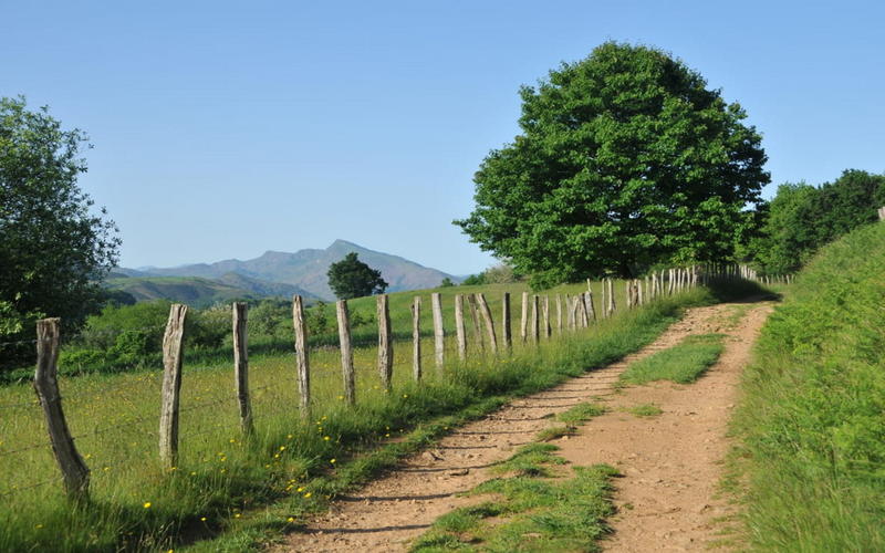 Randonnée accompagnée Capb Urtsua : a la découverte de la montagne et des sources