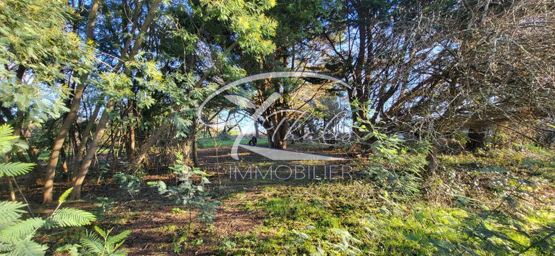 Maison ancienne - 226 m² - 10 pièces