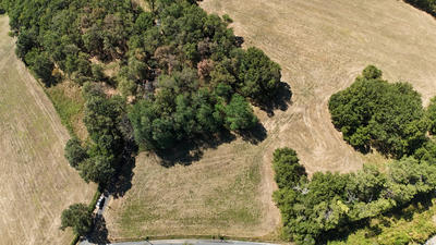 Terrain - 36 348 m²