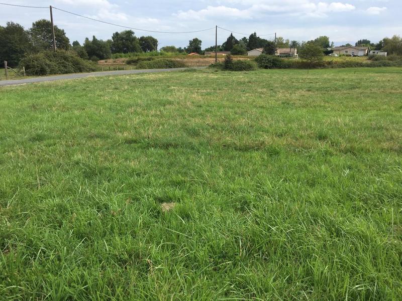 Terrain constructible - 1 148 m²
