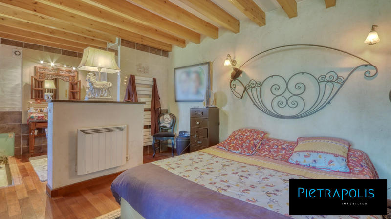 Maison ancienne - 332 m² - 9 pièces