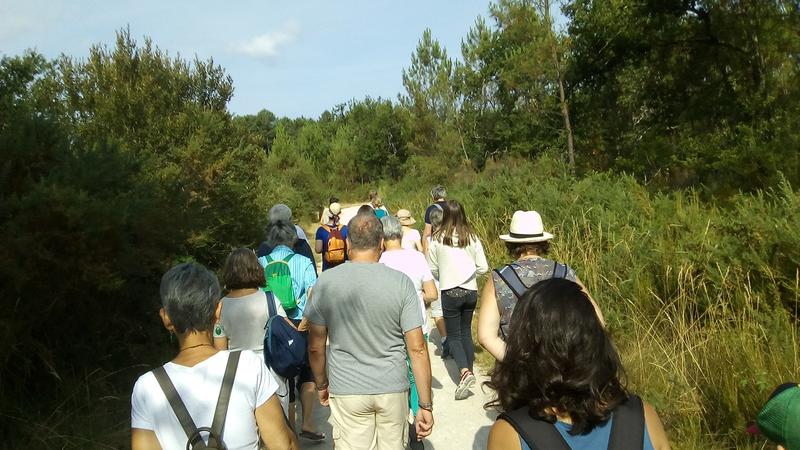 La forêt de Migelane