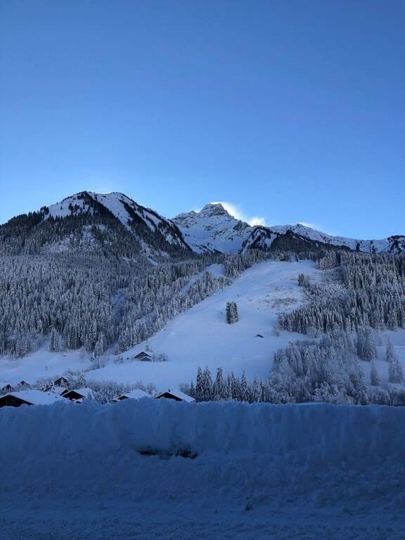 Châlet - 222 m² - 7 pièces