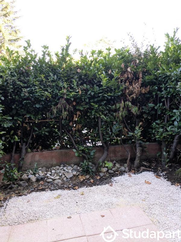 Appartement - 23 m² - 1 pièce