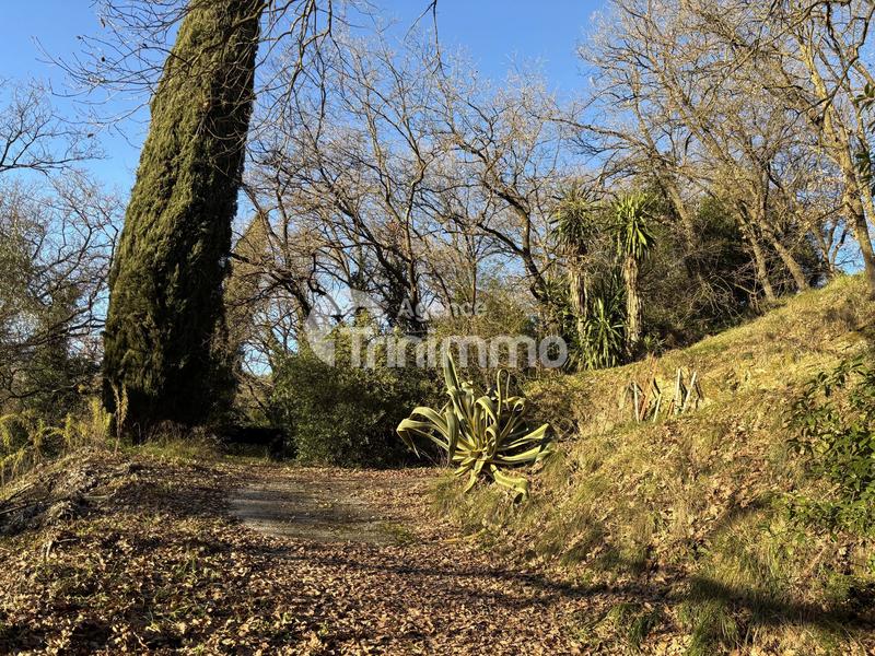 Terrain constructible - 2 454 m²