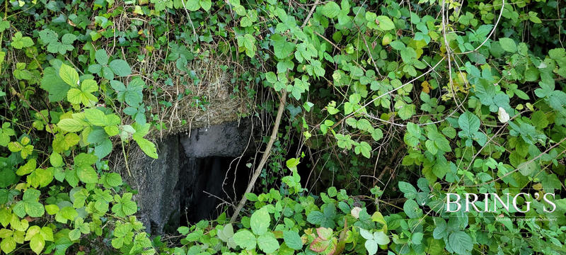 Maison ancienne - 42 m² - 1 pièce