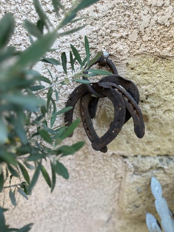 Mas - 400 m² - 14 pièces