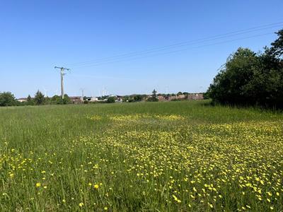 Terrain constructible - 7 090 m²