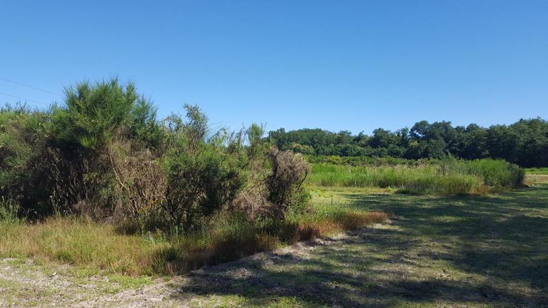 Propriété - 835 m² - 32 pièces