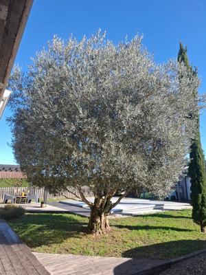 Maison - 103 m² - 6 pièces