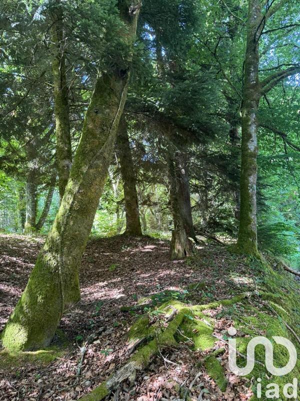 Terrain - 30 452 m²