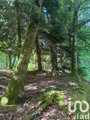 Terrain - 30 452 m²