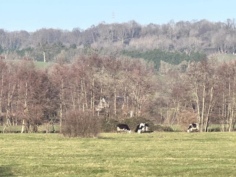 Propriété - 157 m² - 6 pièces