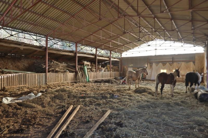 Haras - 190 m² - 6 pièces