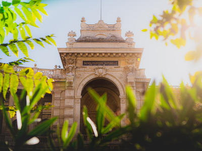 Festival Risc au Muséum d'histoire naturelle de Marseille