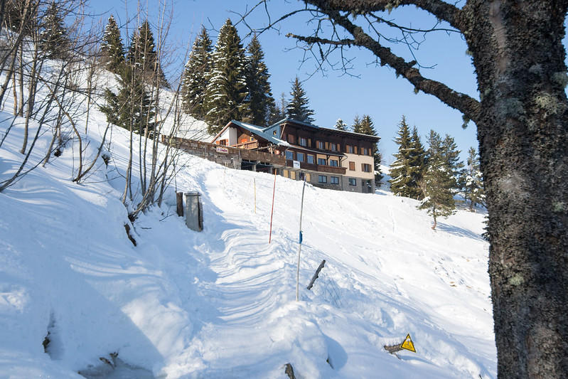 Live Music au Schallern !