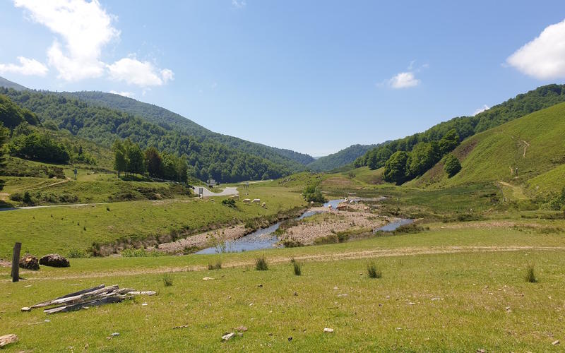 Sortie nature Cpie Pays Basque : "L'écopastoralisme"