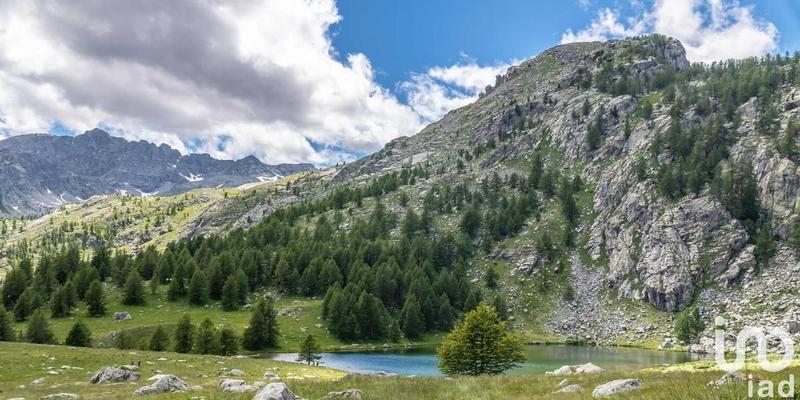 Local commercial - 570 m²